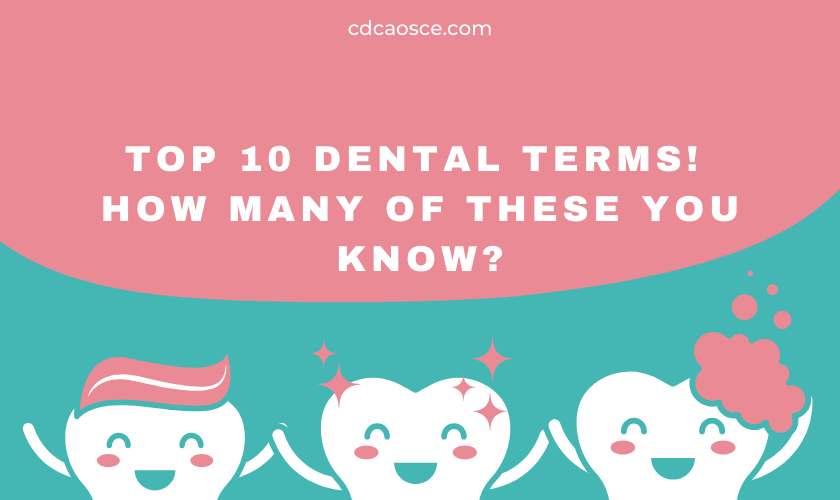 top 10 dental terms